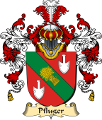 German Coat of Arms (v.25b) Pfluger