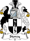 English Coat of Arms for Storey