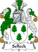 English Coat of Arms for Selioke or Selleck
