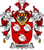 Irish Family Coat of Arms (v.25b) Sinnott or Synnott