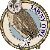 Birds of Prey Clipart image: Tawny Owl-M