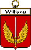 Irish Badge for Williams