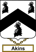 English Coat of Arms Shield Badge for Akins or Aiken
