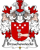 Polish Coat of Arms for Brzuchowiecki