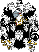 English or Welsh Coat of Arms for Paddy (Granted 1591-Lancaster Herald)