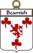 Irish Badge for Beamish