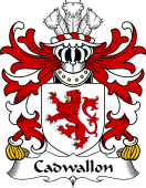 Welsh Coat of Arms for Cadwallon (AP MADOG)