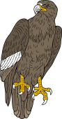 Birds of Prey Clipart image: Washington Sea Eagle