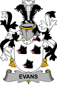 Irish Coat of Arms for Evans