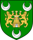 Irish Family Shield for MacKillikelly (Galway)