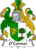 Irish Coat of Arms for O'Connor (Sligo)