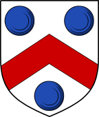 English Family Shield for Baskerville