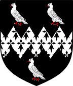 English Family Shield for Dove