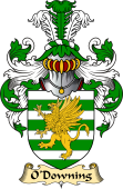 Irish Family Coat of Arms (v.23) for O'Downing