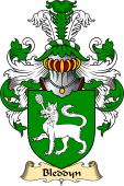 Welsh Family Coat of Arms (v.23) for Bleddyn (AP MAENYRCH)