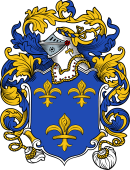 English or Welsh Coat of Arms for Burrows (ref Berry)