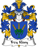 Polish Coat of Arms for Trzy Klosy