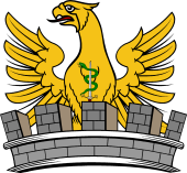 Family Crest from Ireland for: Mackesy (Kilkenny)