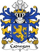 Welsh Coat of Arms for Cadwgon (AP BLEDDYN AP CYNFYN)