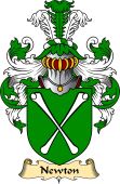 English Coat of Arms (v.23) for the family Newton