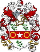 English or Welsh Coat of Arms for Rundle (Ref Berry)