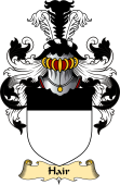 Scottish Family Coat of Arms (v.23) for Hair