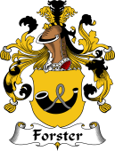 German Wappen Coat of Arms for Forster