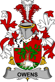 Irish Coat of Arms for Owens