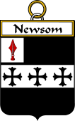 Irish Badge for Newsom or Newsam