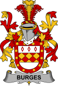 Irish Coat of Arms for Burges