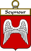 Irish Badge for Seymour