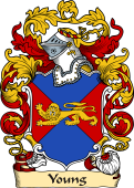English or Welsh Family Coat of Arms (v.23) for Young
