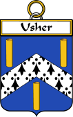 Irish Badge for Usher
