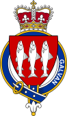 Families of Britain Coat of Arms Badge for: Galvan or Galvin (Ireland)