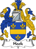 English Coat of Arms for the family Hook (e)