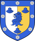 Irish Family Shield for Ennis (Westmeath)