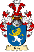 v.23 Coat of Family Arms from Germany for Teiss