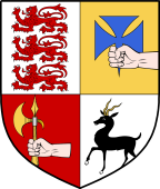 Irish Family Shield for MacGrath or MacGraw