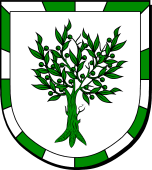 Spanish Family Shield for Oliveras