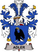 Swedish Coat of Arms for Adler (d'Adlerberg)