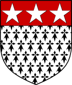 Irish Family Shield for Esmonde (Wexford)