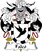 Spanish Coat of Arms for Falcó or Falcón