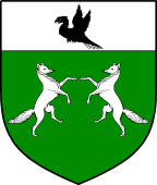 Irish Family Shield for O'Donoghue