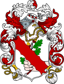 English or Welsh Coat of Arms for Aikman