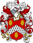 English or Welsh Coat of Arms for Penner (Ref Burke's)