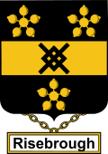 English Coat of Arms Shield Badge for Risebrough or Risebrow