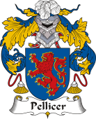 Spanish Coat of Arms for Pellicer