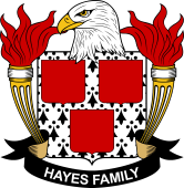 Coat of arms used by the Hayes family in the United States of America