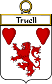 Irish Badge for Truell