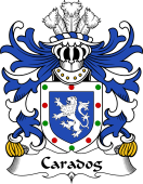Welsh Coat of Arms for Caradog (FREICHFRAS -Earl of Hereford)